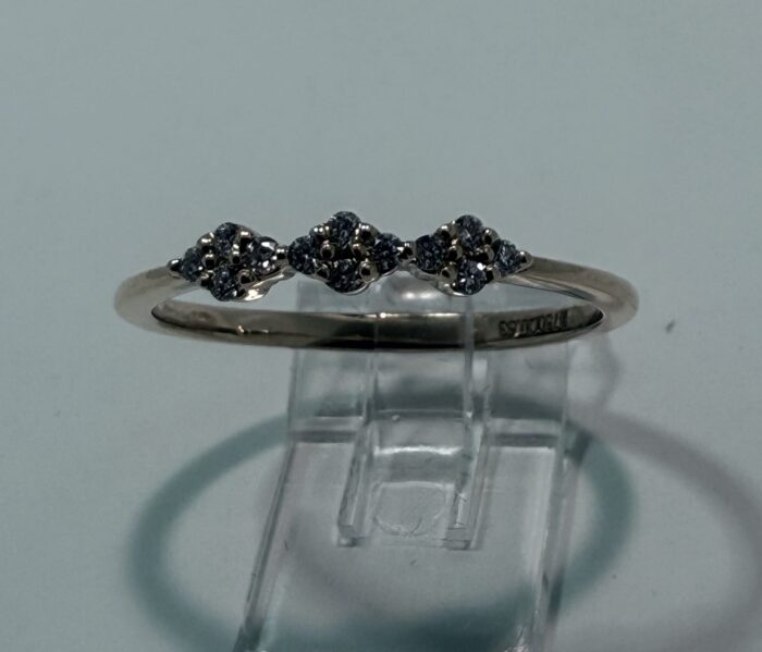 Besondere Antragsringe